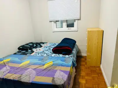 room for rent
