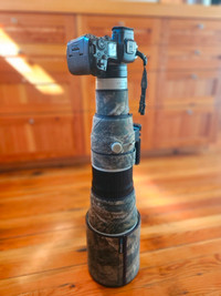 Canon EF 500mm F4 IS USM II Telephoto Lens
