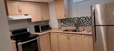 Large One Bedroom Basement Apartment