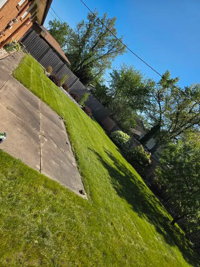 Lawn Care. Attention Landlords.62865710100865123