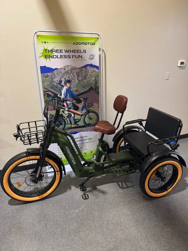 Addmotor Greattan L M-370L trike in eBike in Lethbridge - Image 6