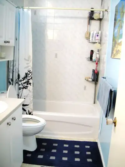 Beautiful furnished room, in a clean, secure, and quiet area, Algonquin 10 min, Carleton U. 10 food...