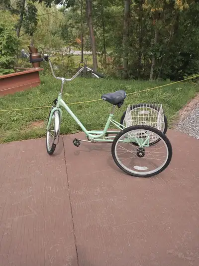 The Traditional trike, a classic in its field, is purpose built with comfort, stability, durability,...