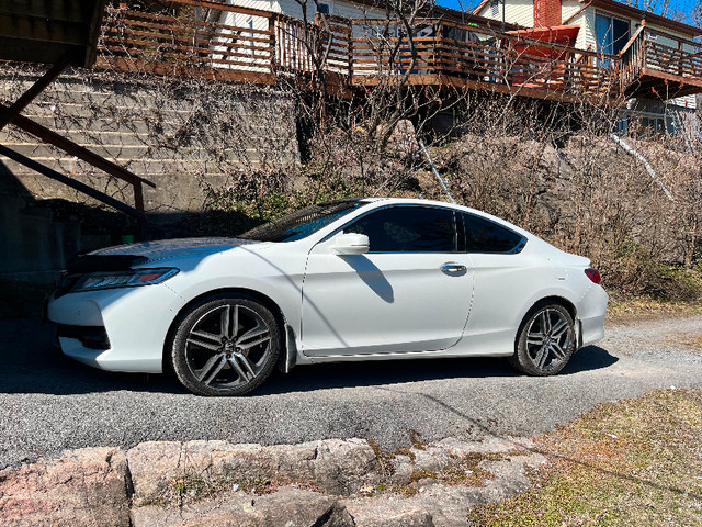 2016 Honda Accord Coupe Touring 4Cylinder in Cars & Trucks in Kingston - Image 3