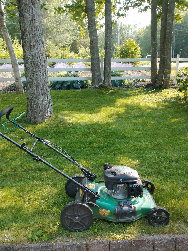 Lawn care, Spring cleanup, Odd Jobs in Lawn, Tree Maintenance & Eavestrough in Bridgewater - Image 3