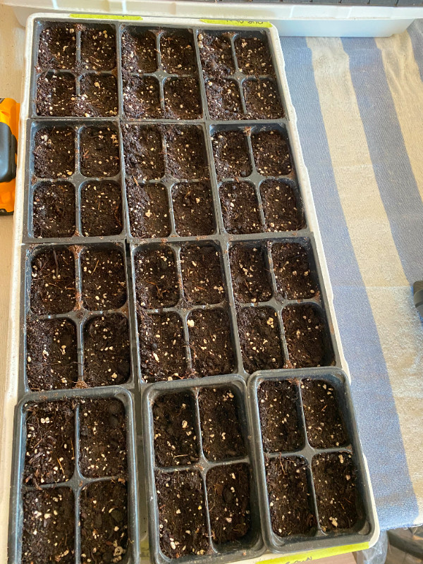 Wanted free Planting Trays and pots in Plants, Fertilizer & Soil in Trenton