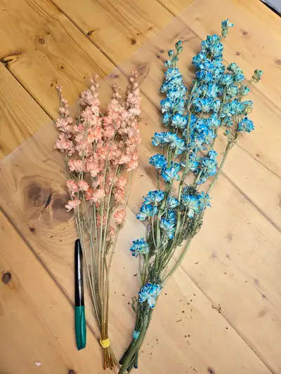Preserved and Dried Floral  Inventory Lot Sale, View more