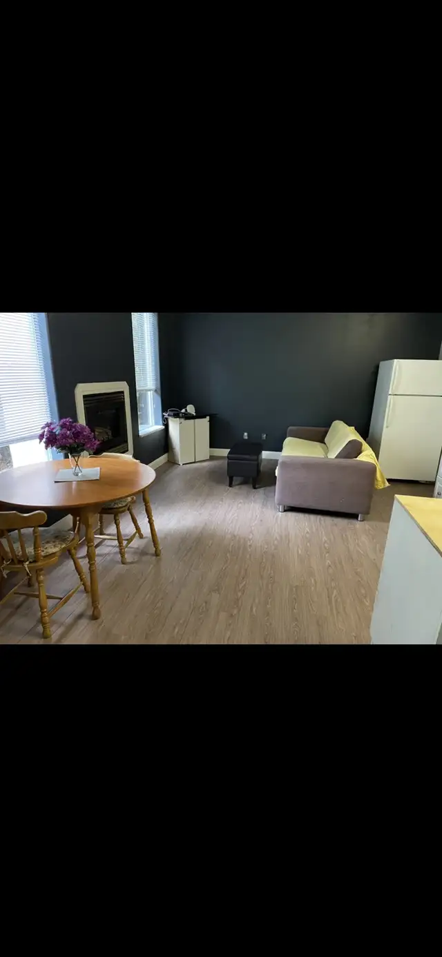 Spacious 800 sqft Bachelor / Studio Suite – $1,200 in Long Term Rentals in Abbotsford - Image 4