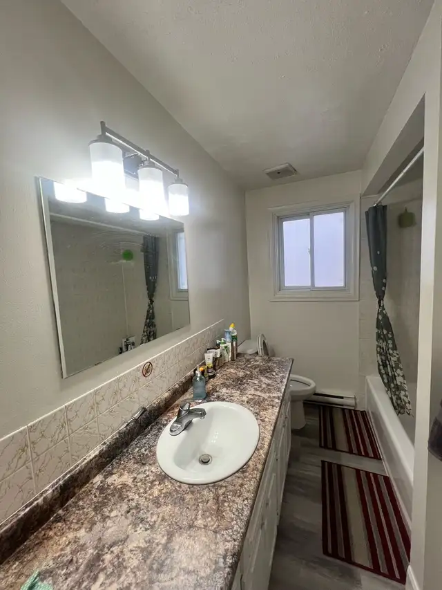 Private Room for Rent – Female Only | Waterloo 63838172711427123