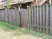 Free Fence panels