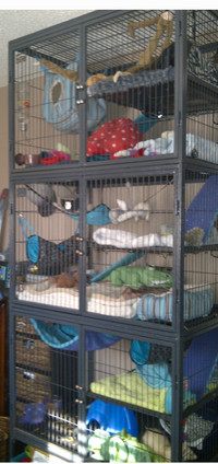 Ferret Nation Multi level cage