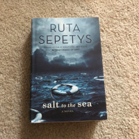 Salt to the sea book