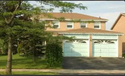 Spacious one Bedroom Basement apartment for rent