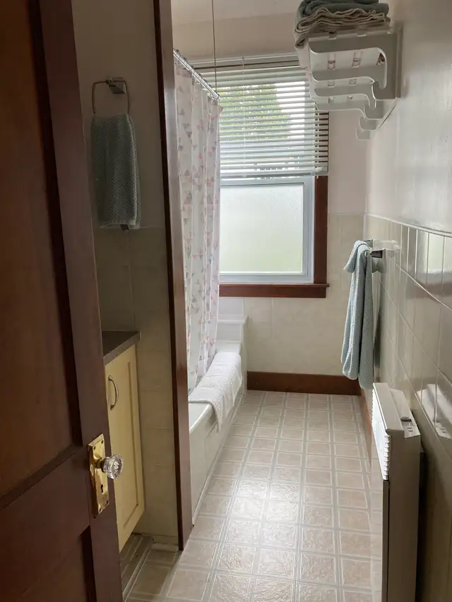 Bright, spacious apartment in the heart of Chester. in Short Term Rentals in Bridgewater - Image 6