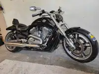 Harley Davidson vrod muscle 1250cc