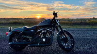 2016 Harley Davidson Iron 883