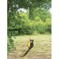 Squngee Squirrel Bungee Jumper Feeder