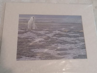 Robert Bateman Print  - Polar Bear Provincial Park