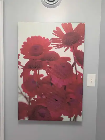 36×24 Pickup in Greenwood Smoke free Pet Friendly