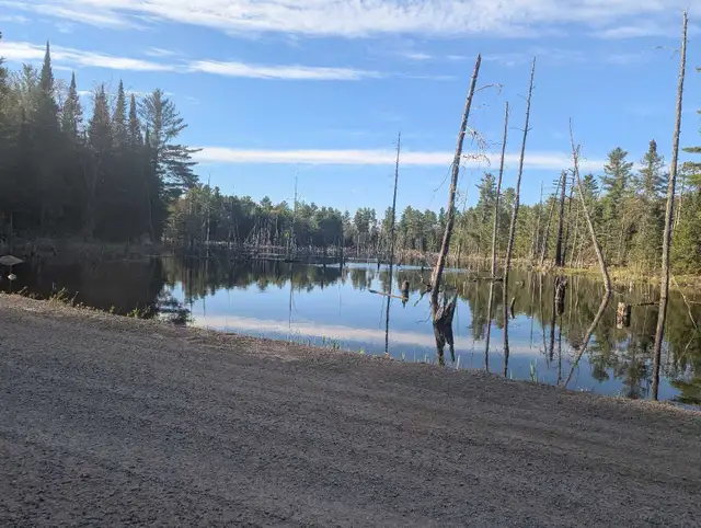 private hunting course
