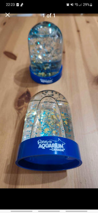 Limited Edition Ripley's Aquarium Photo Snow Globe