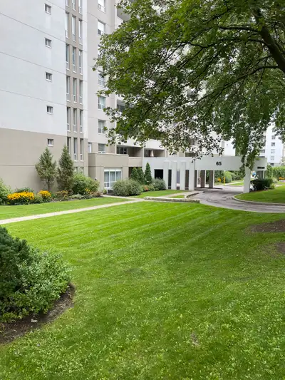 lawn care / property maintenance, View more