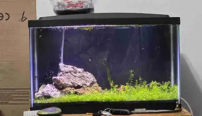 Aqueon Fish Tank, View more