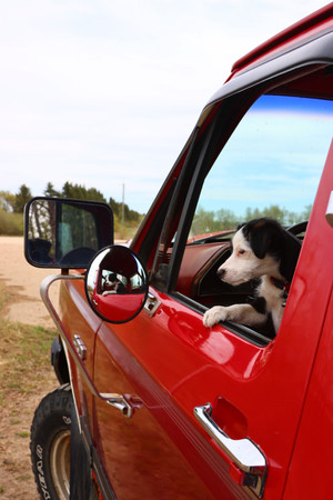 1991 Ford F 150  Lariat 
