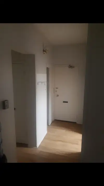 1 bed apartment for rent