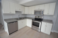 Fully renovated 2 Bedroom - Avail now or June - 223 Ontario