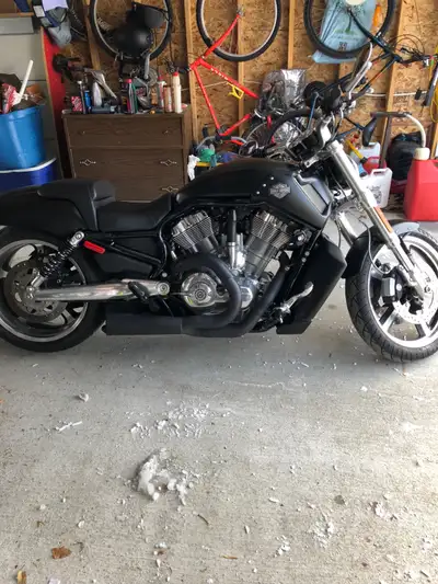 Selling my VRod with 9800 km only. Flat black, 280mm rear wheel v&h 2n1 competition pipe. Ready for...