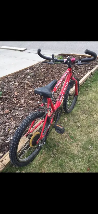 Teenage Bicycle . Red colour, View more