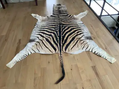 Peau de zèbre, View more