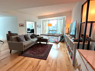 Sun-filled extra-spacious luxury condo duplex st lawrence