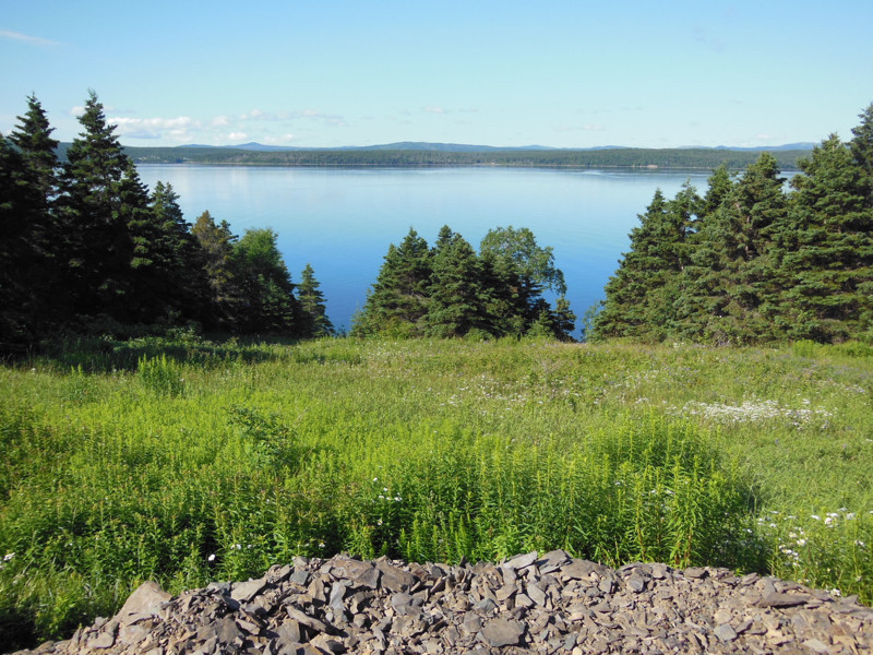 oceanfront lot near Clarenville Land for Sale St. John's