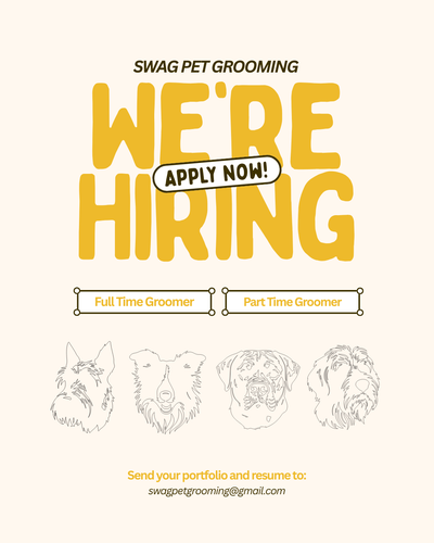 Hiring *FULL TIME* Pet Groomer, View more