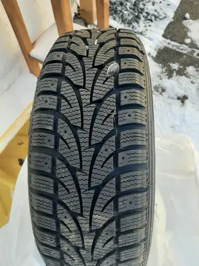 Sailun by ICEBLAZER 195/65 R15 91 T Rims are rusty but the tires only have 12 hours on them ( the mo...