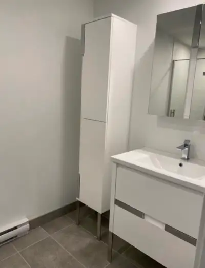 Beau grand logement, propre et rénové au goût du jour , juste à côté des Halles de Ste-Foy, en face...