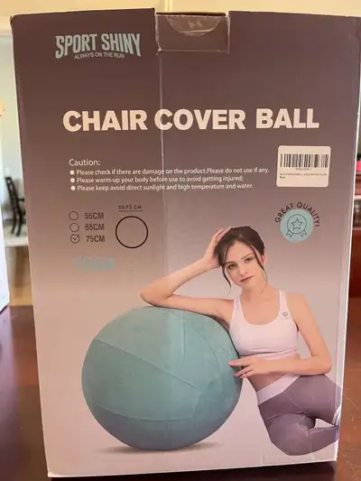 SportShiny - Pro Balance Ball Chair, View more