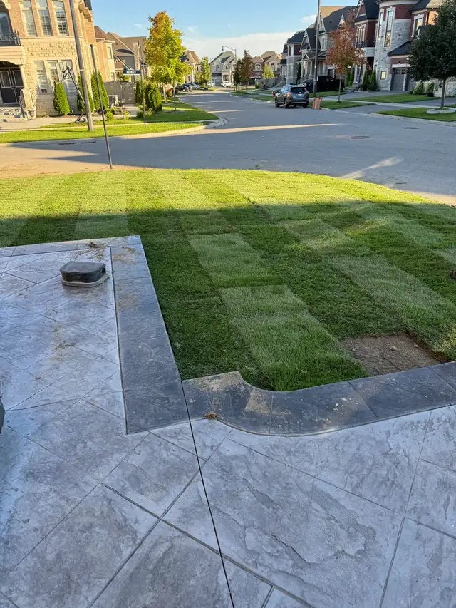 SOD INSTALL - New Grass