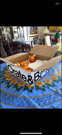 NEW (in box) Crate And Barrel Picnic Dishes