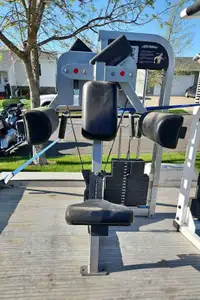 Life fitness lateral raise 