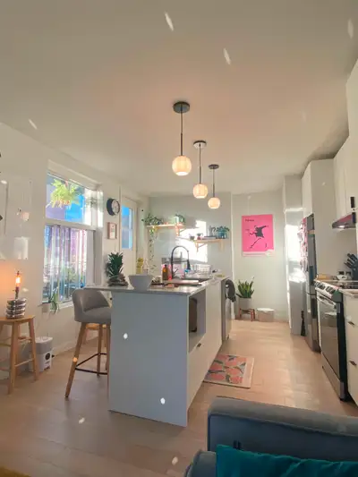 5 1/2 Très Lumineux sur Saint-Viateur