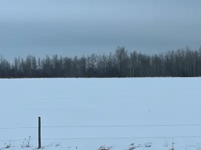 Have 60 acres of trees to be cut and taken away for Firewood , East of Vita MB 10 minutes. Mixture o...