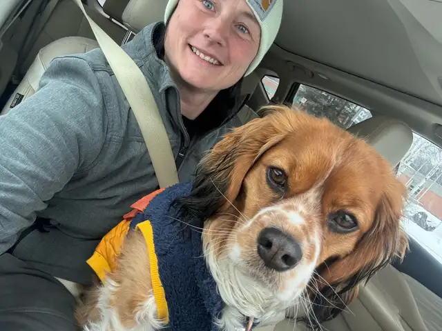 Offering housesitter/dog walker in Other in Edmonton - Image 3