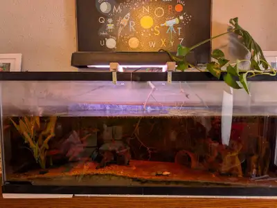 55G Aquarium, View more