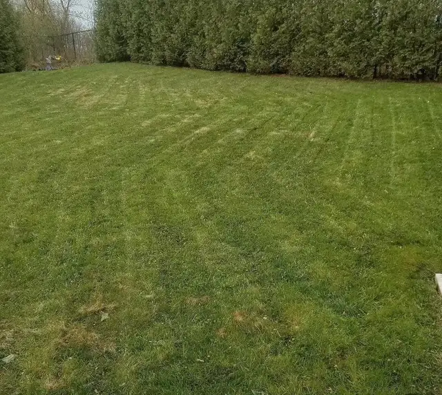 ZACH’S LAWN CARE AND PROPERTY MAINTENANCE62863238996482124