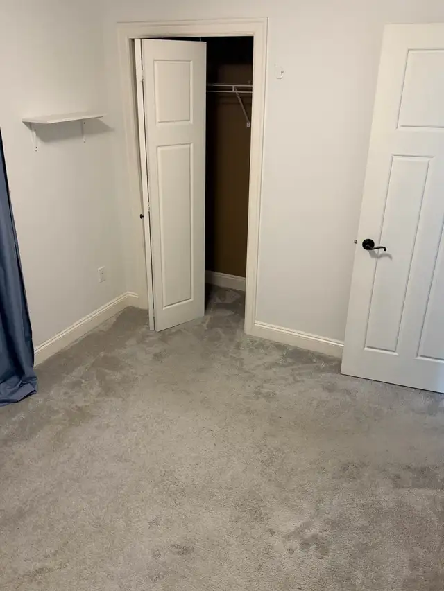 2 bedroom basement suite  in Long Term Rentals in Delta/Surrey/Langley - Image 8