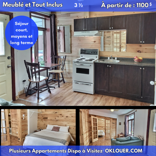 APPARTEMENT 1 CHAMBRE 3 1/2  MEUBLÉ-TOUT INCLUS, CENTRE VILLE