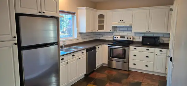 Residential/commercial cleaner62863255513601124